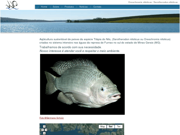 www.nile-tilapia.com