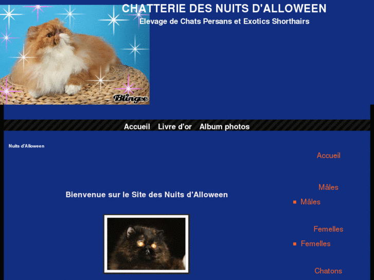 www.nuits-dalloween.com