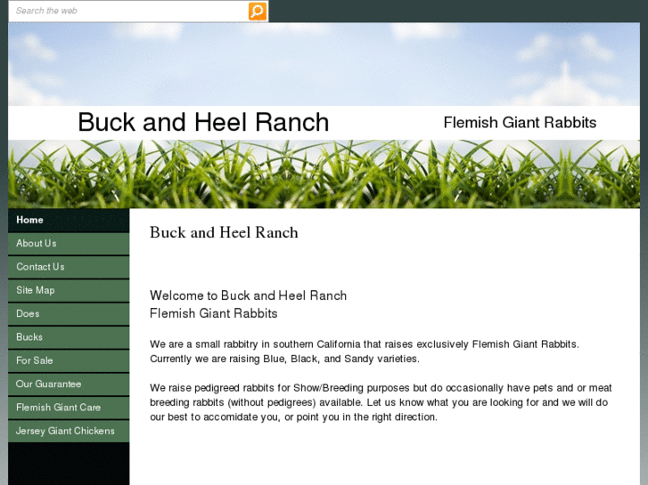 www.buckandheelranch.com