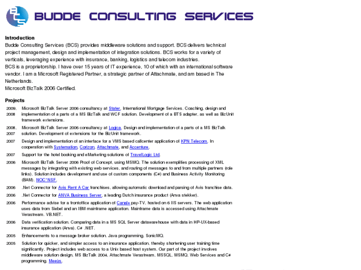 www.buddeconsulting.com