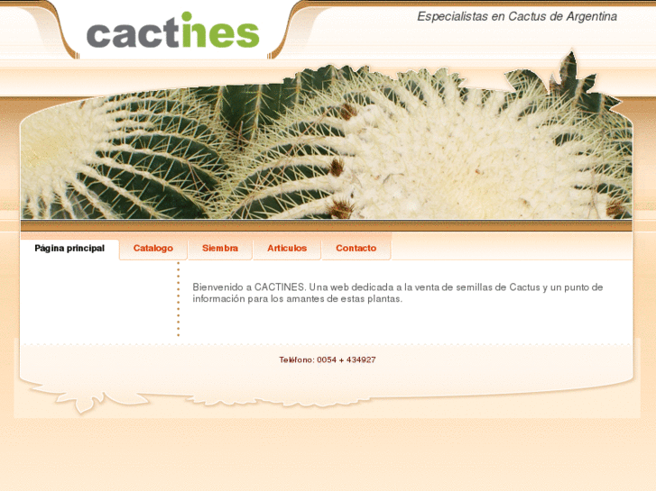 www.cactines.com