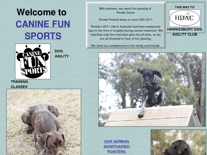 www.caninefunsports.com.au