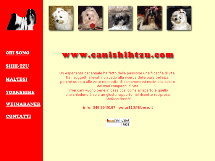 www.canishihtzu.com