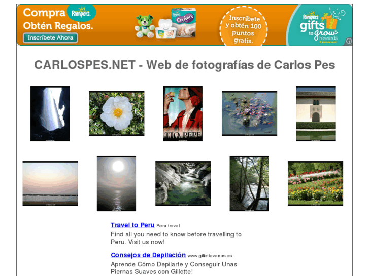 www.carlospes.net