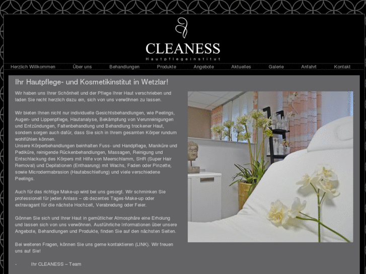 www.cleaness.net