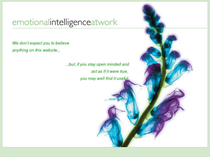www.emotionalintelligenceatwork.com