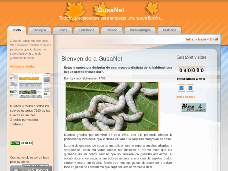 www.gusanet.es