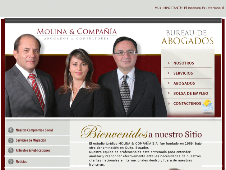 www.molinayco.com