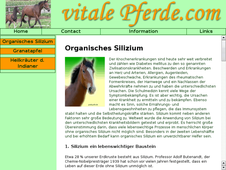 www.vitale-hunde.com