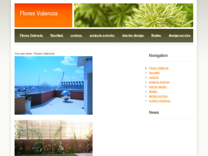 www.floresvalencia.com