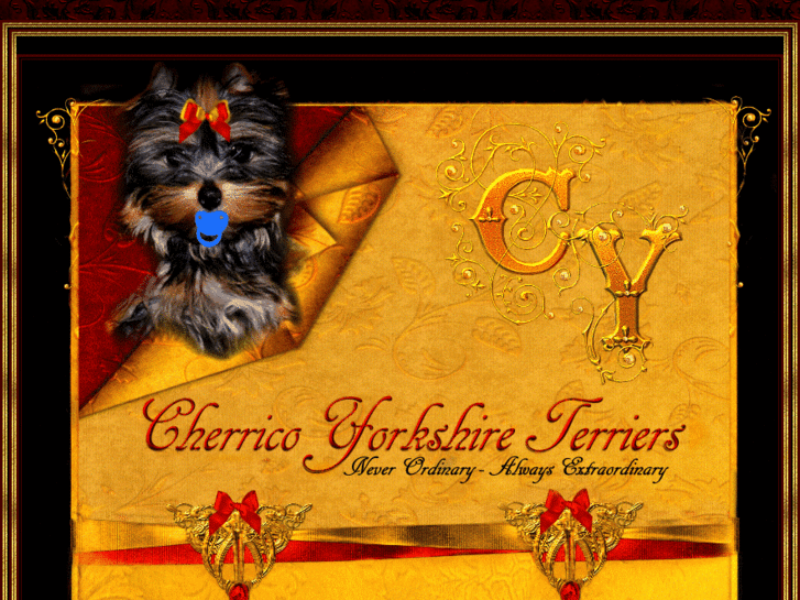 www.royalcastleyorkies.com