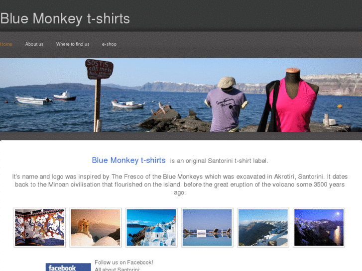 www.bluemonkeyt-shirts.com