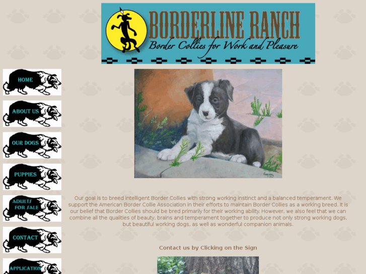 www.borderlineranchdogs.com