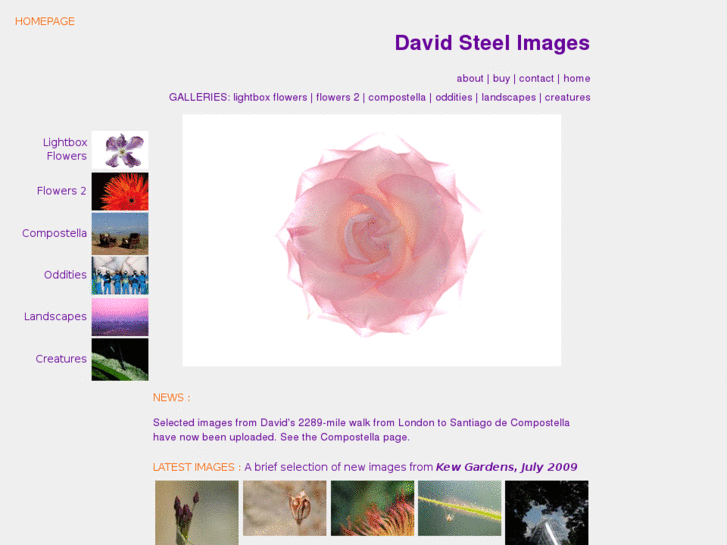 www.davidsteelimages.com