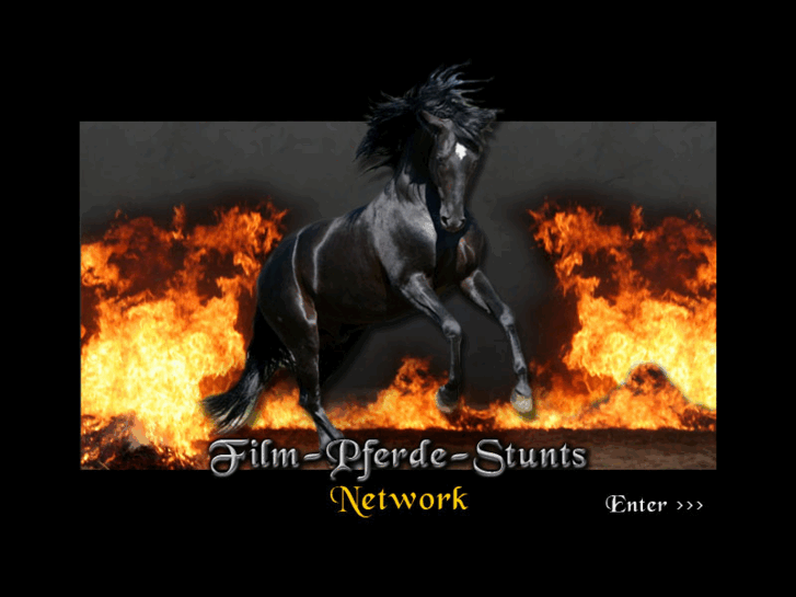 www.film-pferde-stunts.com