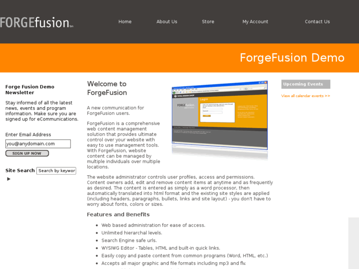 www.forgefusion.net