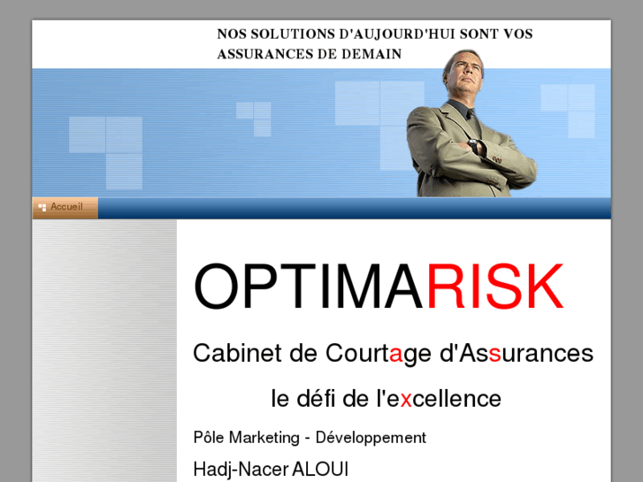 www.optimarisk.org