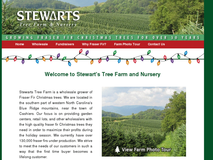 www.stewartstreefarm.com