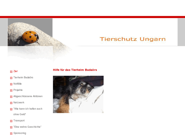 www.tierschutz-ungarn.org