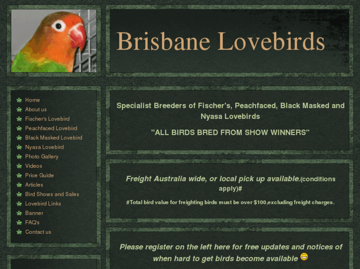 www.brisbanelovebirds.com