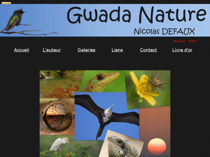 www.gwadanature.com