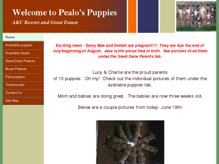 www.pealospuppies.com