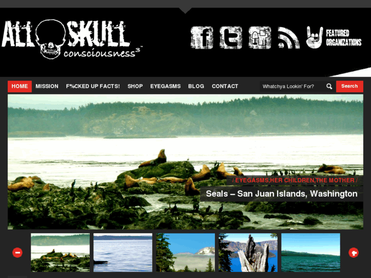 www.allskull.com