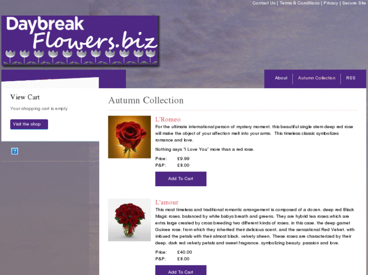 www.amazingstoke.com