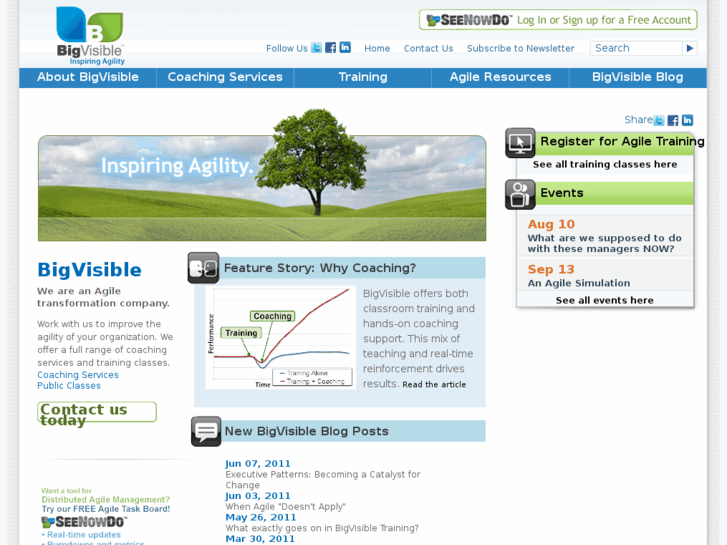 www.bigvisible.org