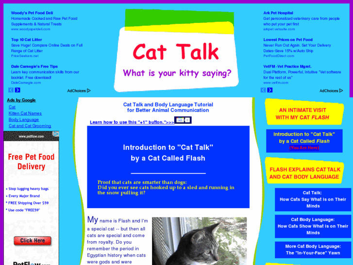 www.cattalksite.com