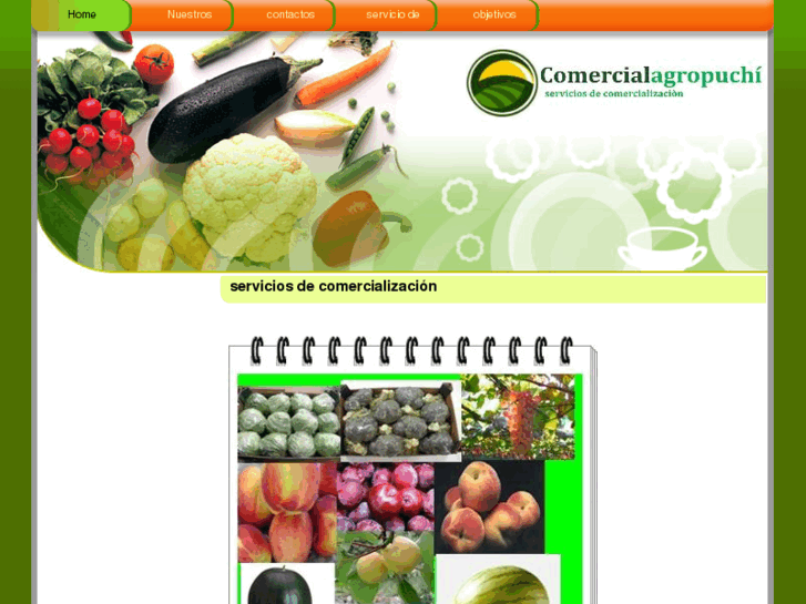 www.comercialagropuchi.com