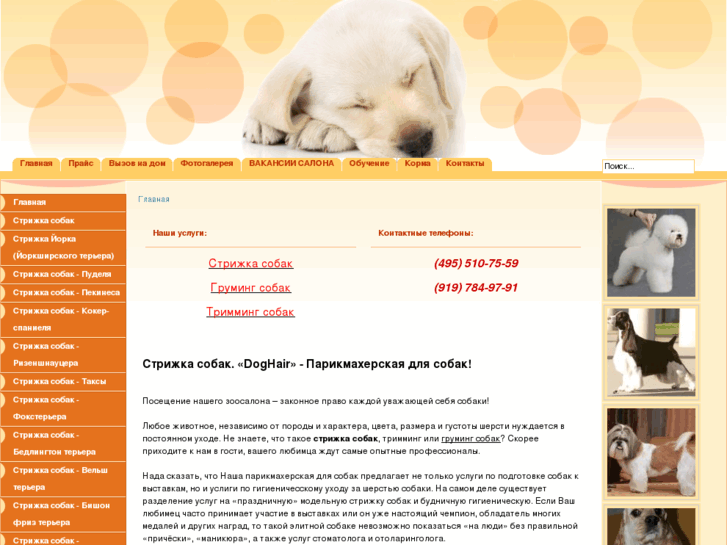 www.doghair.ru