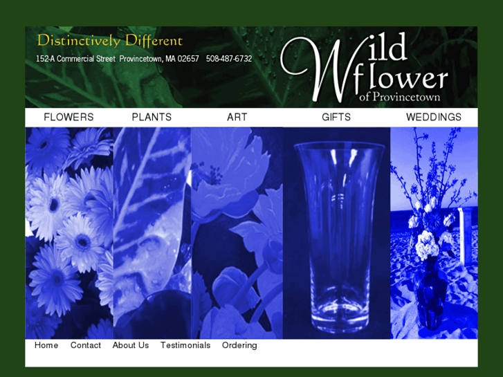 www.floristprovincetown.com