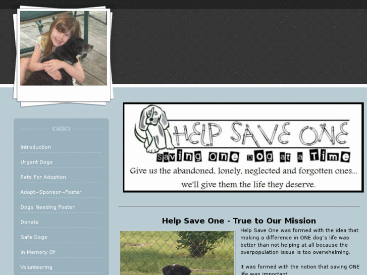 www.helpsaveone.org