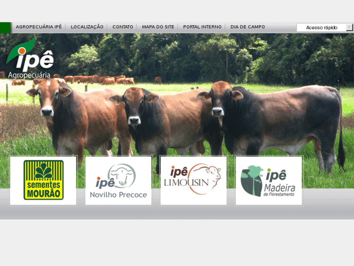 www.ipemeat.com