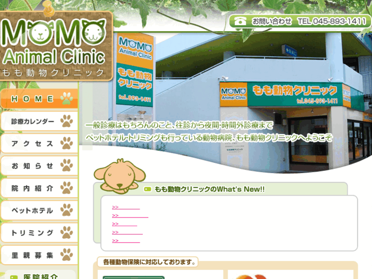 www.momo-ac.com