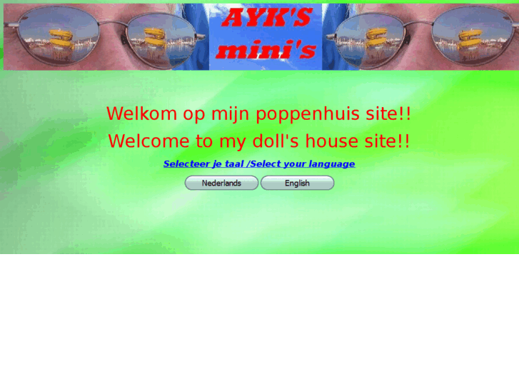 www.ayksminis.com