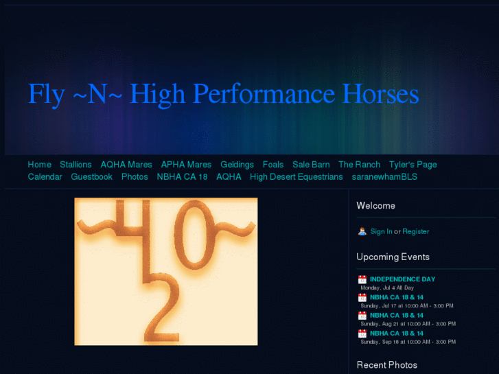 www.flynhighperformancehorses.biz