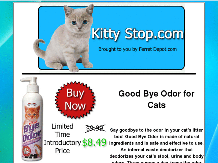 www.kittystop.com