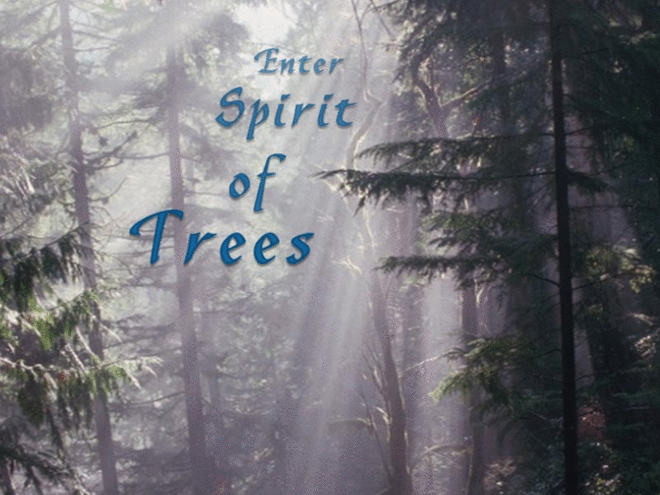 www.spiritoftrees.com