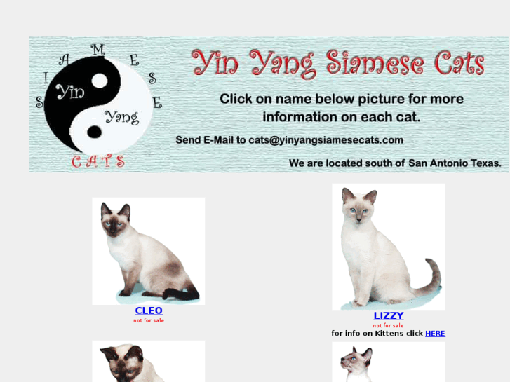 www.yinyangsiamesecats.com