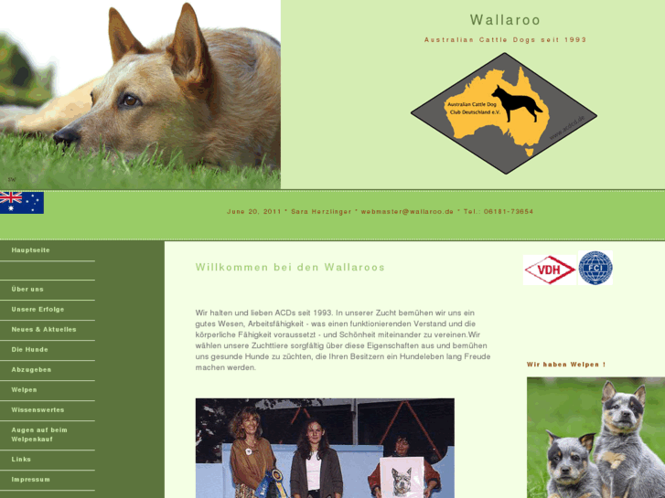 www.blueheeler.de