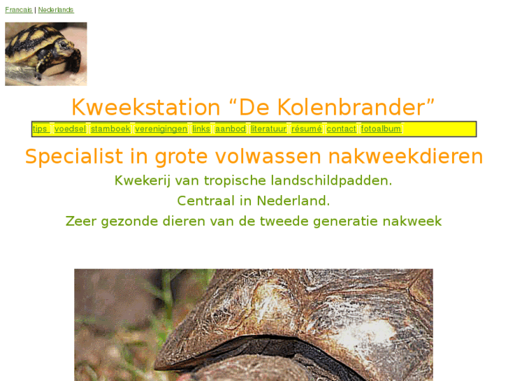 www.dekolenbrander.com