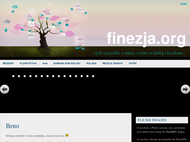 www.finezja.org