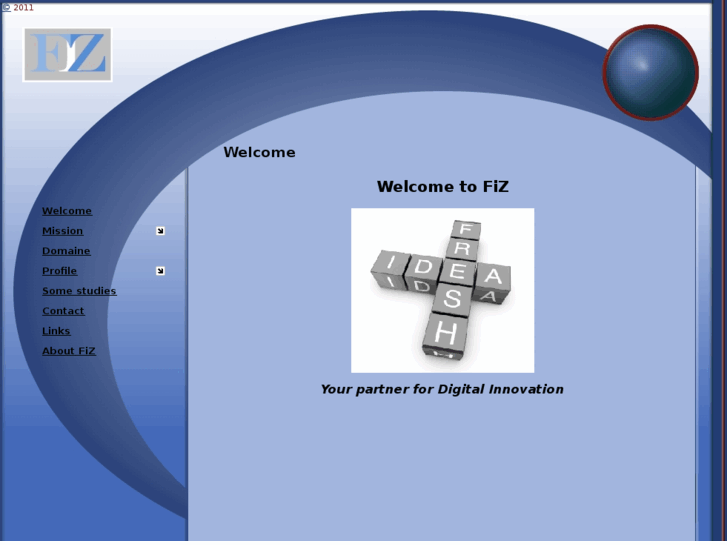 www.fiz-conseil.com