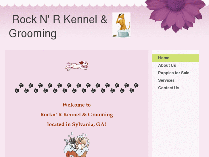www.rocknrkennelandgrooming.com