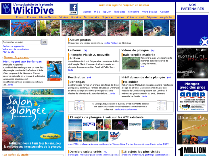 www.wikidive.com