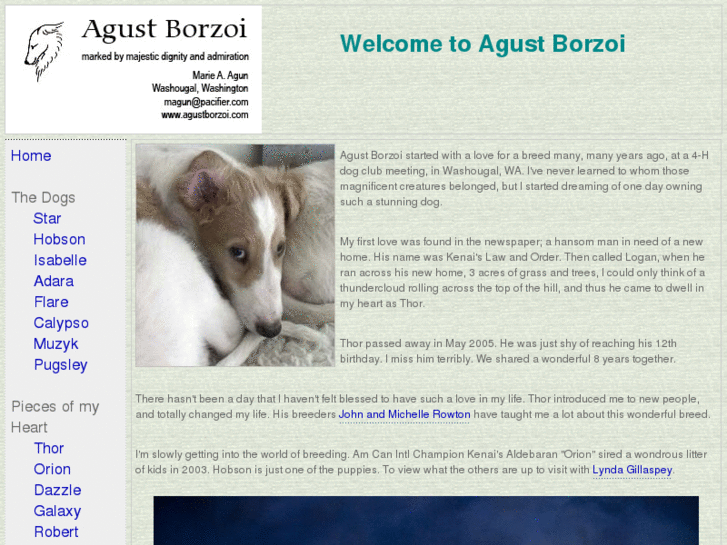 www.agustborzoi.com