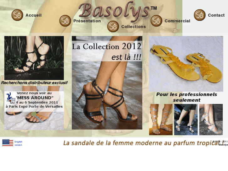 www.basolys.com