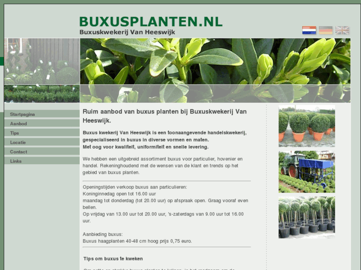 www.buxuskwekerij.net